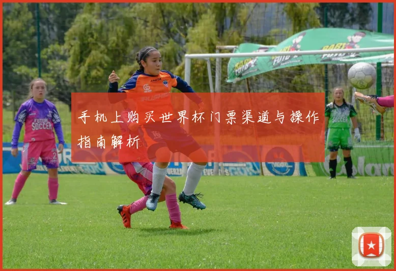 手机上购买世界杯门票渠道与操作指南解析