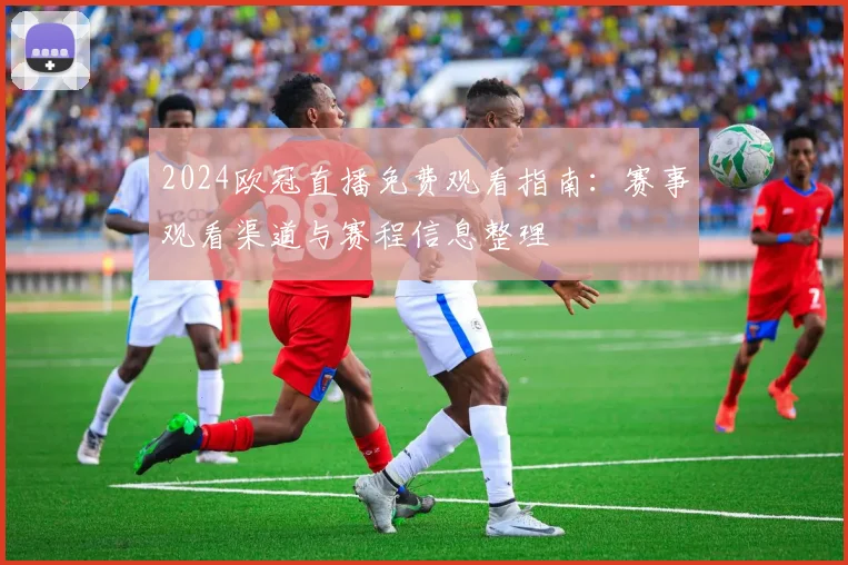 2024欧冠直播免费观看指南：赛事观看渠道与赛程信息整理