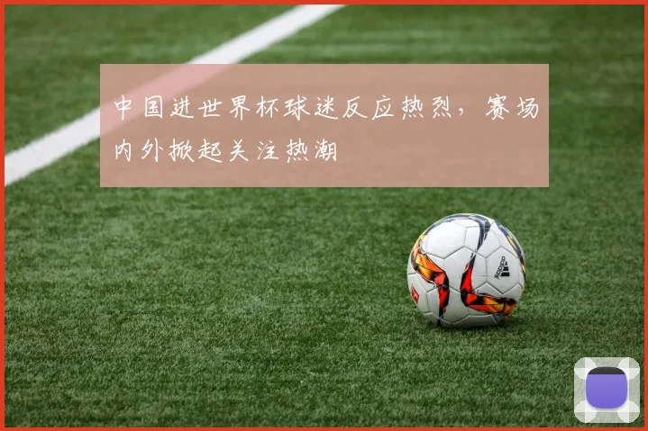 中国进世界杯球迷反应热烈,赛场内外掀起关注热潮