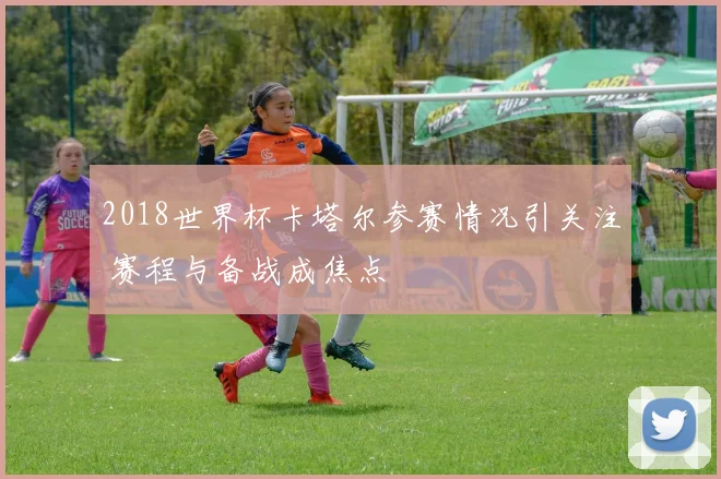 2018世界杯卡塔尔参赛情况引关注 赛程与备战成焦点