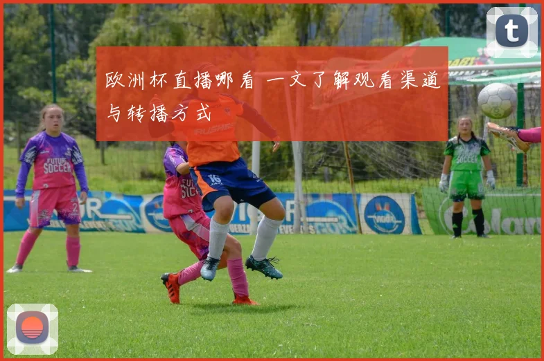 欧洲杯直播哪看 一文了解观看渠道与转播方式