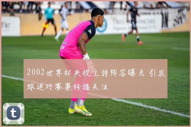 2002世界杯央视主持阵容曝光 引发球迷对赛事转播关注