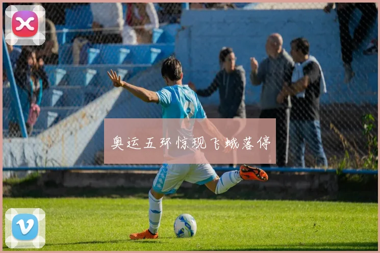 奥运五环惊现飞蛾落停